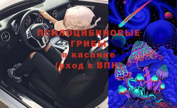 трава Верхнеуральск