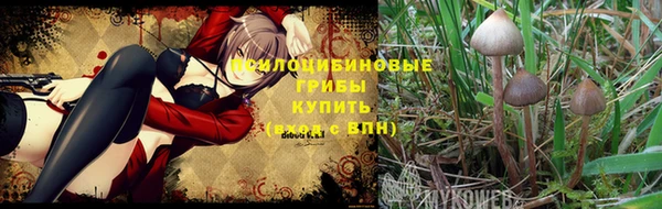 а пвп мука Бронницы